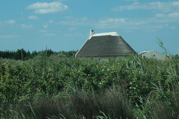 camargue (4)